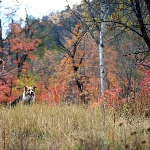 Foto ¡Por fin solos!