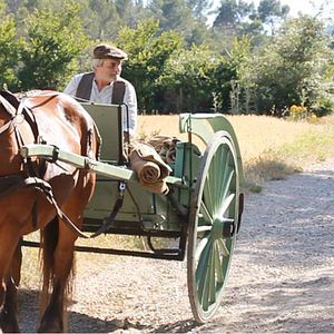 Foto Cactus vinaigrette