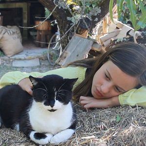 Foto Cactus vinaigrette