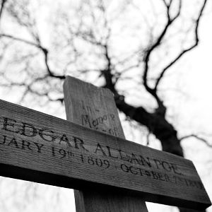 Foto El enigma del cuervo