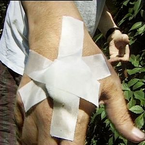 Foto Abschied von den Fröschen