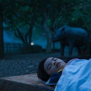 Foto Postcards From The Zoo