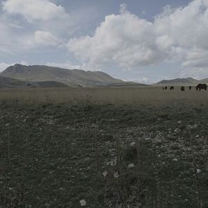 Foto Retrato de Anton Corbijn