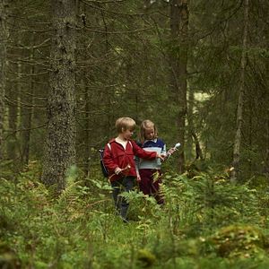 Foto Knerten gifter seg