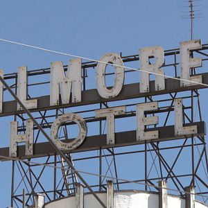 Foto John Irving und wie er die Welt sieht