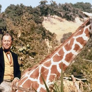 Foto El extravagante doctor Dolittle