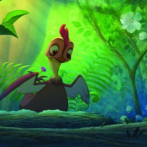 Foto Lifi (Una gallina tocada del ala)