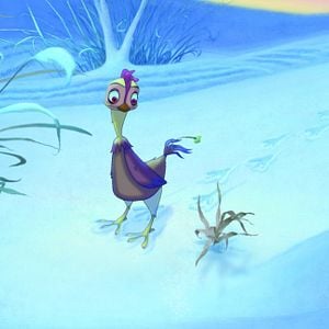 Foto Lifi (Una gallina tocada del ala)