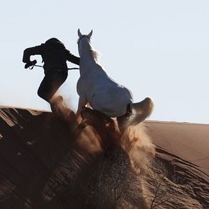 Foto Tornado and the Kalahari Horse Whisperer