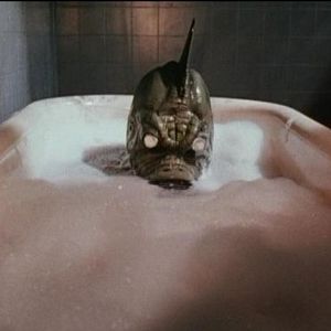 Foto Saturday The 14th