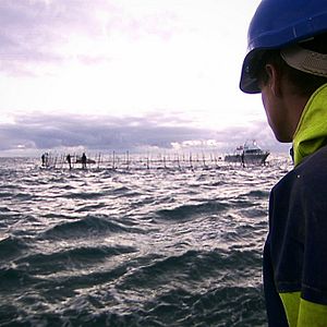 Foto Sushi - The Global Catch