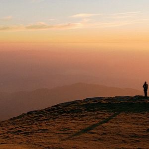 Foto Nel giardino dei suoni