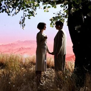 Foto Pollo con ciruelas