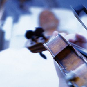 Foto Violinissimo