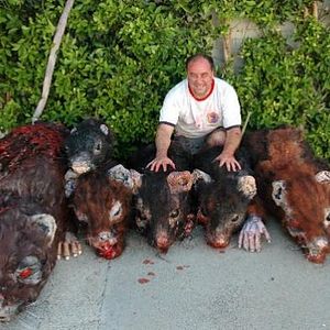 Foto Rat Scratch Fever