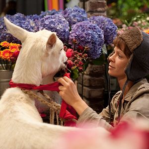 Foto Heiter bis wolkig