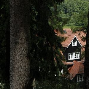 Foto Und wir sind nicht die Einzigen