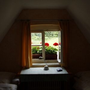 Foto Und wir sind nicht die Einzigen