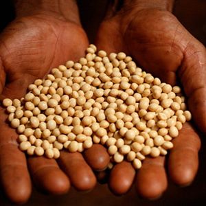 Foto Raising Resistance