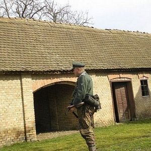 Foto Red Rose of Normandy