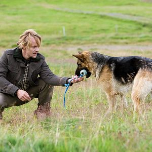 Foto Corazones de hielo