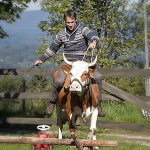 Foto Siempre en primavera