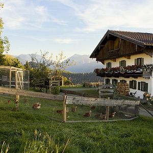 Foto Siempre en primavera