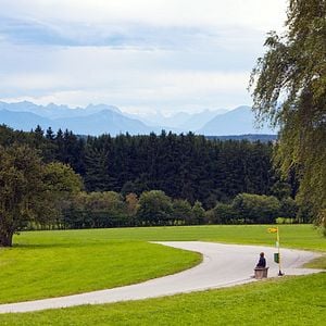 Foto Siempre en primavera