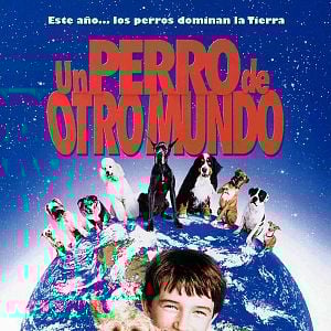 Foto Un perro de otro mundo