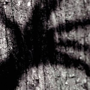 Foto Wer hat Angst vorm schwarzen Mann?