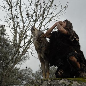 Foto Entre lobos