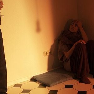 Foto Schildkrötenwut