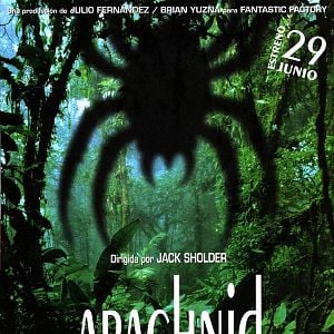 Foto Arachnid