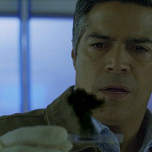 Foto Megatormenta: destrucción inminente