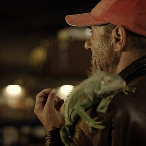 Foto Os vivos tamben choram