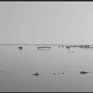 Foto Sueño y silencio