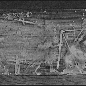 Foto Sueño y silencio