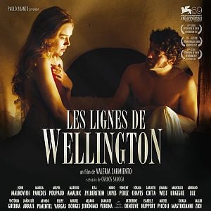 Foto Líneas de Wellington