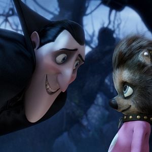 Foto Hotel Transilvania