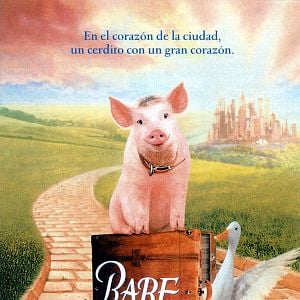 Foto Babe, el cerdito en la ciudad