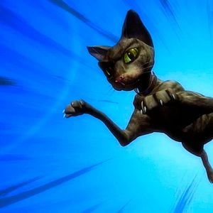 Foto Plumíferos, aventuras voladoras