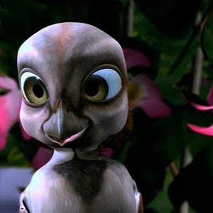 Foto Plumíferos, aventuras voladoras