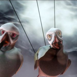 Foto Plumíferos, aventuras voladoras