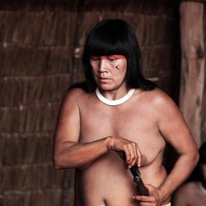 Foto Porcos Raivosos