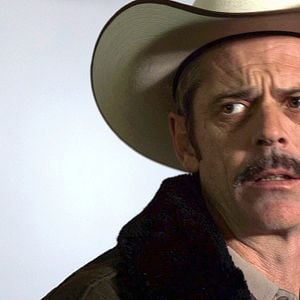 Foto Arañas del desierto