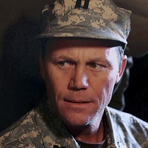 Foto Arañas del desierto