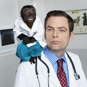 Foto Animal Practice