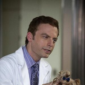 Foto Animal Practice