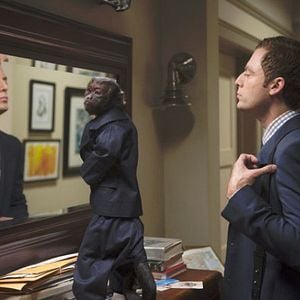 Foto Animal Practice