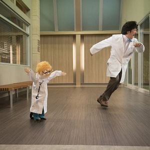 Foto Animal Practice